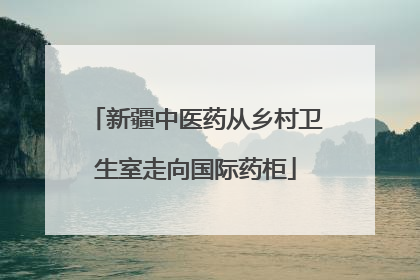 新疆中医药从乡村卫生室走向国际药柜