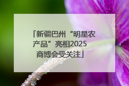 新疆巴州“明星农产品”亮相2025商博会受关注