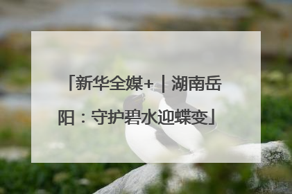 新华全媒+｜湖南岳阳：守护碧水迎蝶变