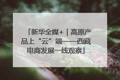 新华全媒+｜高原产品上“云”端——西藏电商发展一线观察