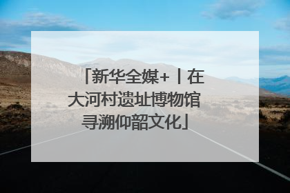 新华全媒+丨在大河村遗址博物馆寻溯仰韶文化