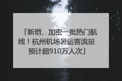 新增、加密一批热门航线！杭州机场暑运客流量预计超910万人次