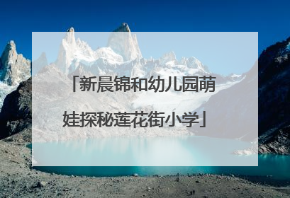 新晨锦和幼儿园萌娃探秘莲花街小学