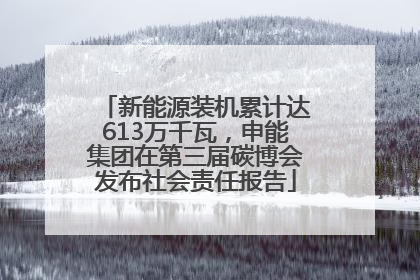新能源装机累计达613万千瓦，申能集团在第三届碳博会发布社会责任报告