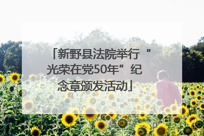 新野县法院举行“光荣在党50年”纪念章颁发活动