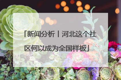 新闻分析丨河北这个社区何以成为全国样板