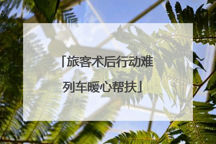 旅客术后行动难 列车暖心帮扶