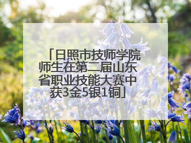 日照市技师学院师生在第二届山东省职业技能大赛中获3金5银1铜