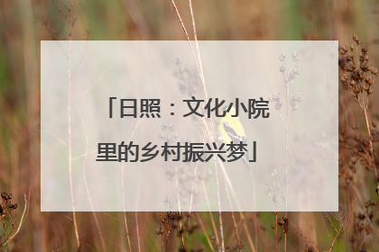 日照：文化小院里的乡村振兴梦