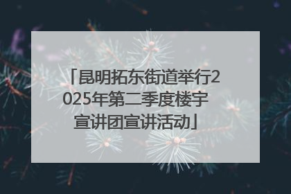 昆明拓东街道举行2025年第二季度楼宇宣讲团宣讲活动