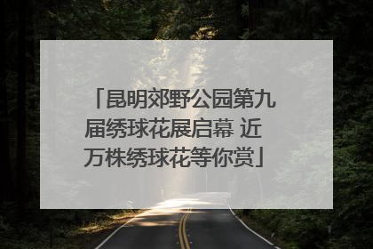 昆明郊野公园第九届绣球花展启幕 近万株绣球花等你赏
