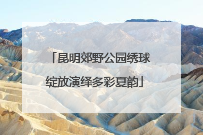昆明郊野公园绣球绽放演绎多彩夏韵