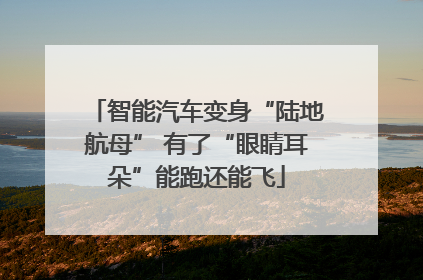 智能汽车变身“陆地航母” 有了“眼睛耳朵”能跑还能飞