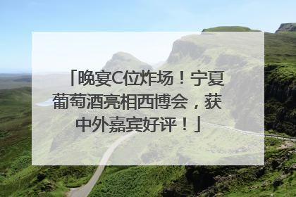 晚宴C位炸场！宁夏葡萄酒亮相西博会，获中外嘉宾好评！