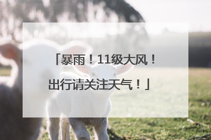 暴雨！11级大风！出行请关注天气！