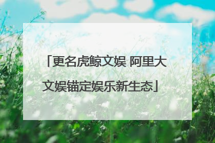 更名虎鲸文娱 阿里大文娱锚定娱乐新生态
