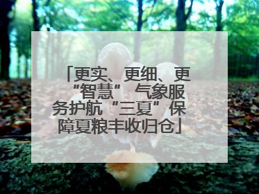 更实、更细、更“智慧” 气象服务护航“三夏”保障夏粮丰收归仓