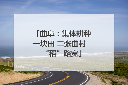 曲阜：集体耕种一块田 二张曲村“稻”路宽