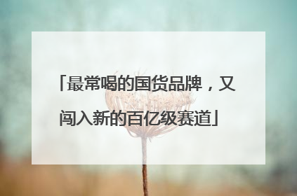 最常喝的国货品牌，又闯入新的百亿级赛道