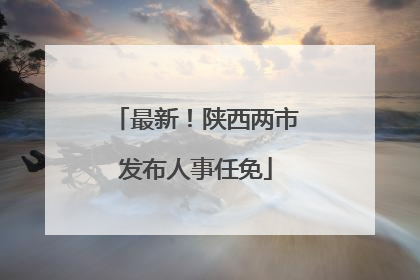 最新！陕西两市发布人事任免