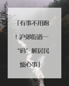 有事不用跑！沪郊街道一“码”解居民烦心事