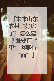 未来山东农村“好房子”怎么建？既要有“里”也要有“面”