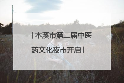 本溪市第二届中医药文化夜市开启
