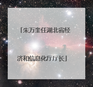 朱万奎任湖北省经济和信息化厅厅长