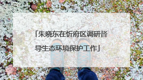 朱晓东在忻府区调研督导生态环境保护工作