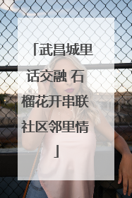 武昌城里话交融 石榴花开串联社区邻里情