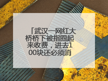 武汉一网红大桥桥下被指圈起来收费，进去100块还必须消费？当地回应