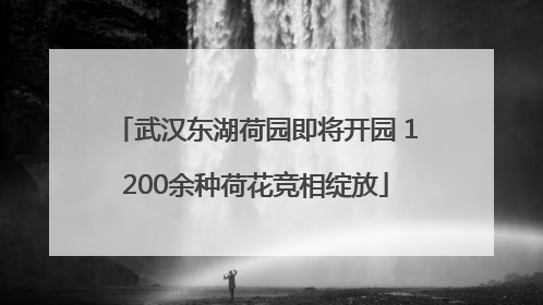 武汉东湖荷园即将开园 1200余种荷花竞相绽放