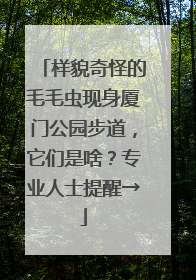 样貌奇怪的毛毛虫现身厦门公园步道，它们是啥？专业人士提醒→