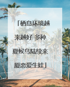 栖息环境越来越好 多种夏候鸟陆续来厦恋爱生娃