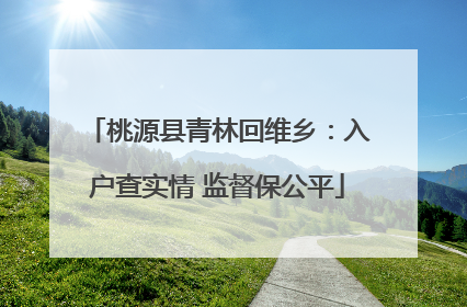 桃源县青林回维乡：入户查实情 监督保公平