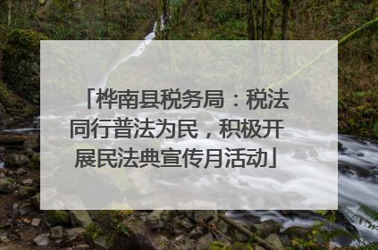 桦南县税务局：税法同行普法为民，积极开展民法典宣传月活动
