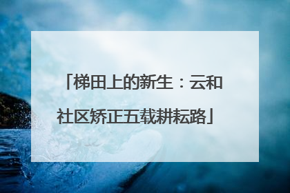 梯田上的新生：云和社区矫正五载耕耘路