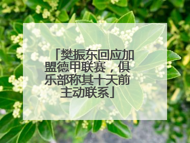 樊振东回应加盟德甲联赛，俱乐部称其十天前主动联系