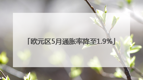 欧元区5月通胀率降至1.9%