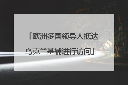 欧洲多国领导人抵达乌克兰基辅进行访问