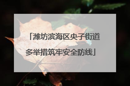 潍坊滨海区央子街道多举措筑牢安全防线