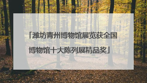 潍坊青州博物馆展览获全国博物馆十大陈列展精品奖