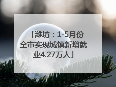 潍坊：1-5月份全市实现城镇新增就业4.27万人