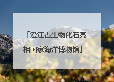 澄江古生物化石亮相国家海洋博物馆