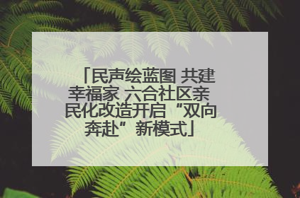 民声绘蓝图 共建幸福家 六合社区亲民化改造开启“双向奔赴”新模式