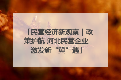 民营经济新观察｜政策护航 河北民营企业激发新“冀”遇