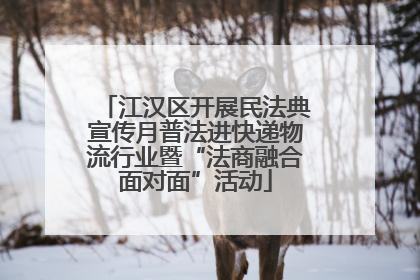 江汉区开展民法典宣传月普法进快递物流行业暨“法商融合面对面”活动