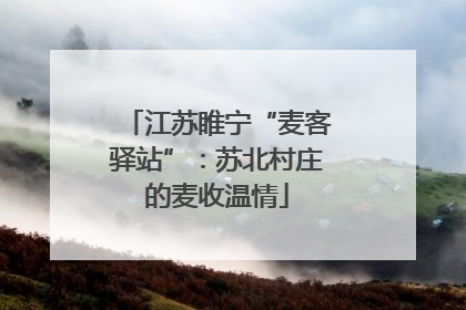 江苏睢宁“麦客驿站”：苏北村庄的麦收温情