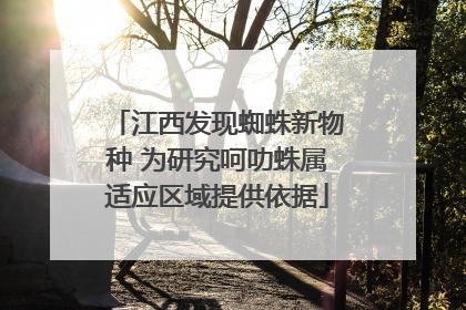 江西发现蜘蛛新物种 为研究呵叻蛛属适应区域提供依据