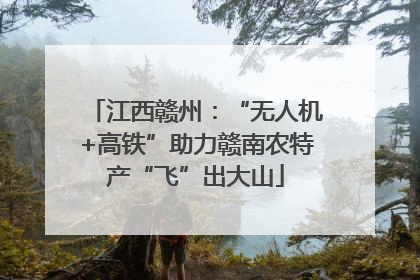 江西赣州：“无人机+高铁”助力赣南农特产“飞”出大山